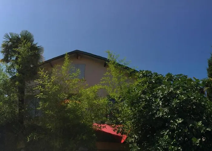 Hotel La Bulle Dans Le Palmier à Toulouse